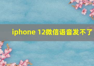 iphone 12微信语音发不了